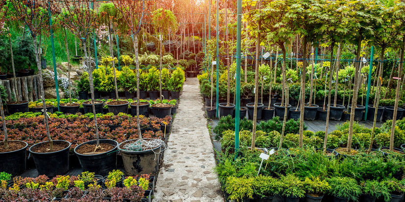 The future of garden centres: how to keep up with changing customer habits