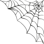 BlogIn-spider-web