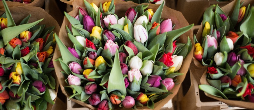 FarEastFlora.com