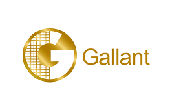 Gallant Computer co. Ltd.