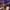 INSTAGRAM-thumb-future-of-retail