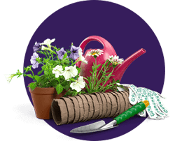 blog-in-gardening-kit